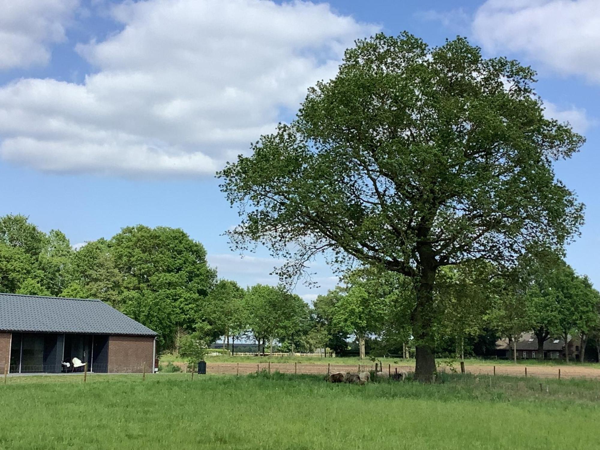 Gastenverblijf Dalem Met Hottub En Landelijk Villa Hapert ภายนอก รูปภาพ